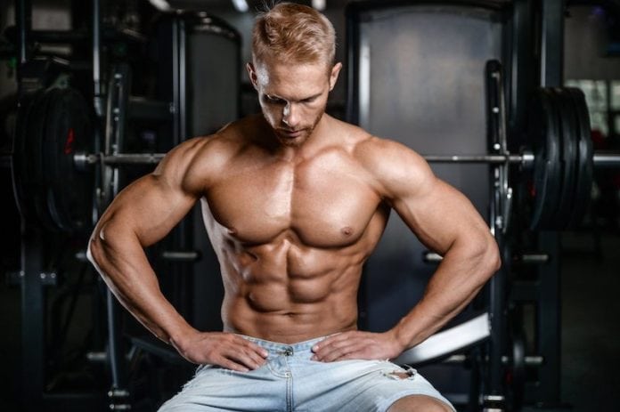La guida definitiva alla steroidi body building